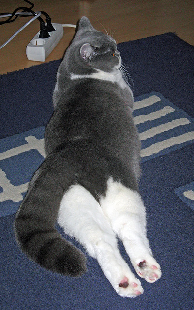 精准风暴，当厄德高成为阵眼，西班牙编织厄瓜多尔征服曲