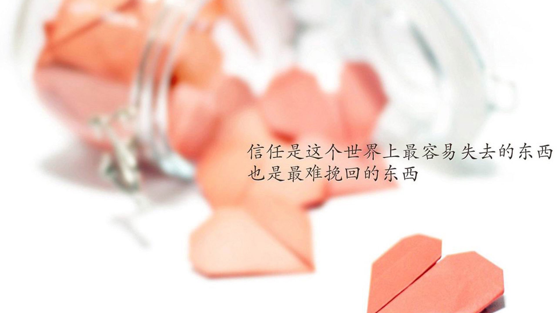 -冰火之歌，2026世界杯D组，冰岛寒锋斩落哥斯达黎加，B费独舞点亮极光之夜